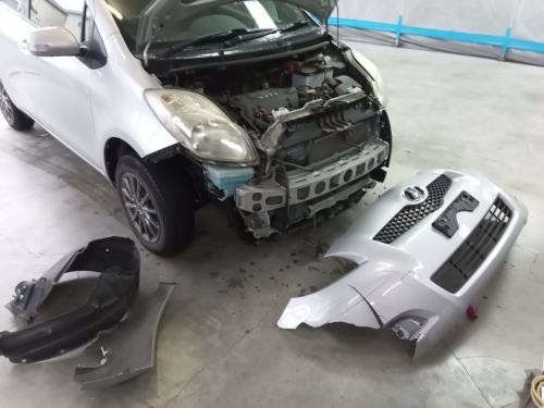 vitz_4.png